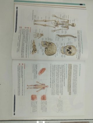Biología y Geología 3º ESO. Libro del estudiant...