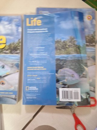 Libro inglés Life Upper int