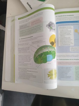 Biología, 2 Bachillerato, Proyecto Construyendo...