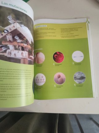 Biología, 2 Bachillerato, Proyecto Construyendo...