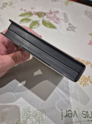 STRIDER Sega Master System