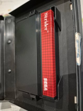 STRIDER Sega Master System
