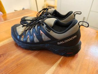 Salomon X Braze GTX Gore-Tex Talla 44 2/3