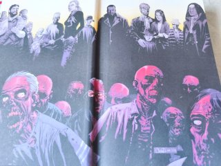 The Walking Dead nº 01/08