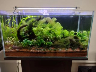 DISPONIBLE ACUARIO NEGRO. RESERVADO EL BLANCO