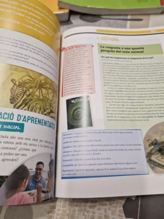 Llengua Catalana, 4 ESO, Programa Alba de Vic, ...