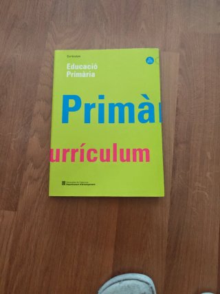 Libro para hacer curriculum en Primaria