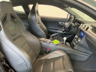 Ford Mustang 5.0 Ti-VCT V8 Mustang Mach I AT(Fastsb.)