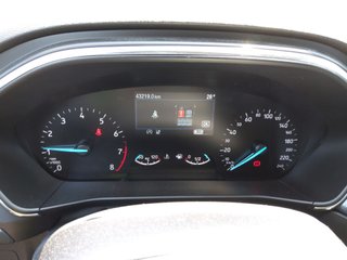 Ford FOCUS Active 1.0T EcoBoost mHEV 92kW 125CV (2024)