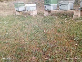 Parcela para colmenas en Guadalest o cercanias