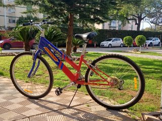 Bicicleta de montaña. Ruedas de 26 pulgadas.