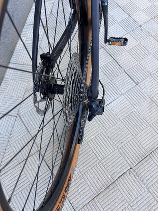 SCOTT SCALE RC 2025
