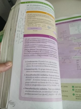 Biología, 2 Bachillerato, Proyecto Construyendo...