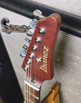 Ibanez Martin Miller Signature Firmada
