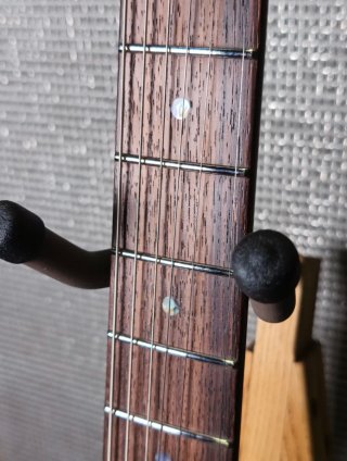 Ibanez Martin Miller Signature Firmada