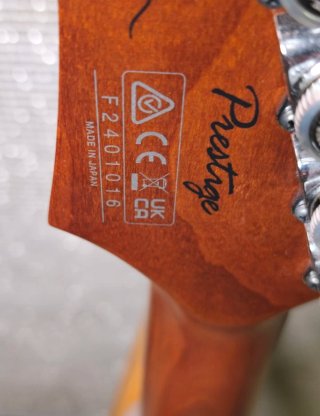 Ibanez Martin Miller Signature Firmada