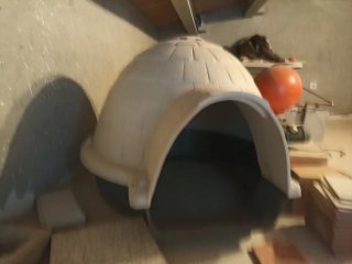 CASETA PERRO TIPO IGLÚ PETMATE PERFECTO ESTADO