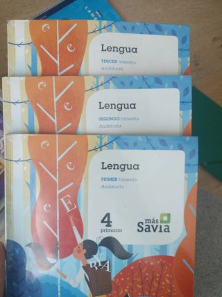 Lengua 4°primaria