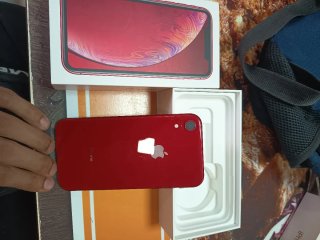 iPhone XR Rosso