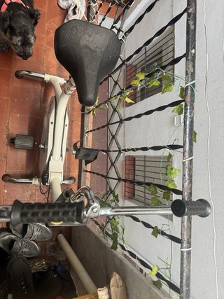 Bicicleta Estática BH Home-Bike Vintage