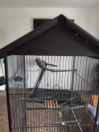 Jaula para pájaros negra