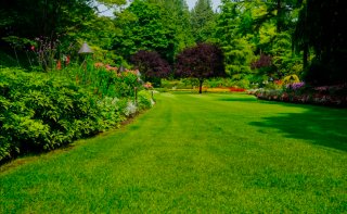 Jardinero
