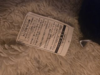 Peluche 35 cm de gato JiJi de Kiki (Studio Ghibli)