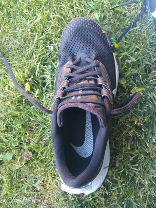 Nike Pegasus Trail Talla 39