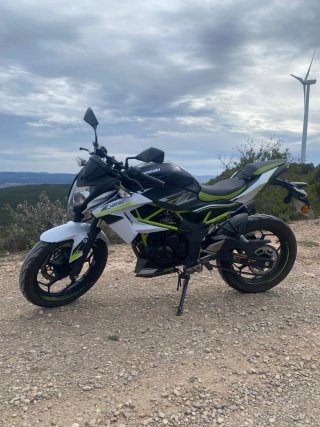 Kawasaki Z125 Naked Blanca y Verde