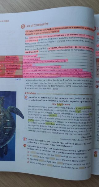 Lengua castellana y literatura 2o ESO