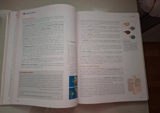 Filosofía 1 bachillerato