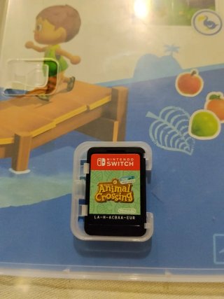 Animal Crossing New Horizons Switch