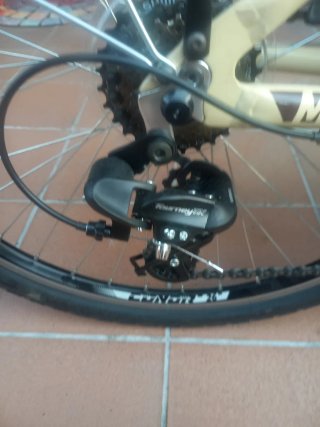Bicicleta Malibu 2024