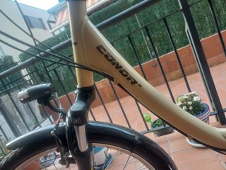 Bicicleta Malibu 2024