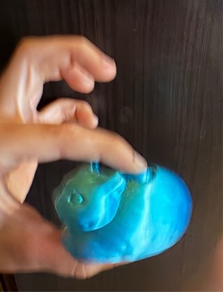 Meme de gato spinner 3D