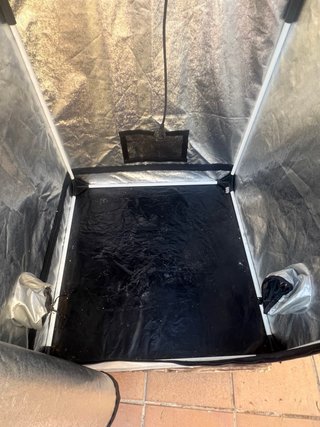 Armario Cultivo Probox Basic Garden Highpro