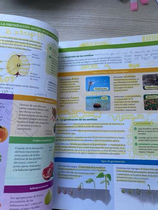 Biología, Geología y Ciencias Ambientales 1 Bac...