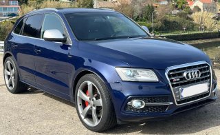 Audi SQ5 2013