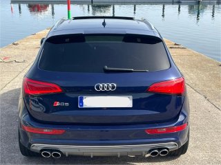 Audi SQ5 2013