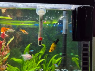 Acuario 90L cristal y plástico