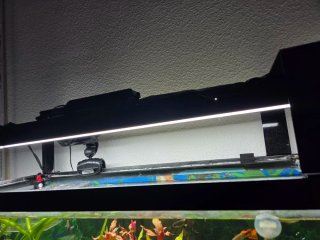 Acuario 90L cristal y plástico