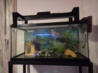 Acuario 90L cristal y plástico y mesa metalica.