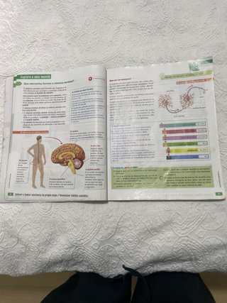 Ciencias da natureza, 6 Educación Primaria