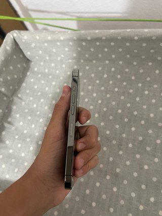 iPhone 13 Pro 256GB Grafito