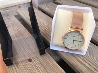 Reloj PLATINUM dorado y blanco