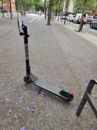 Patinete Eléctrico Bird Air Plegable