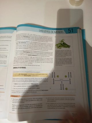 Biología y geología, 4 ESO.