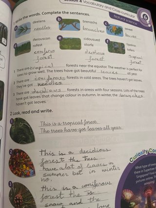 Libros inglés activity y pupil’s con el de repaso