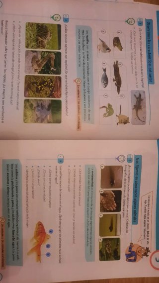 Conocimiento del medio edebé 3 primaria