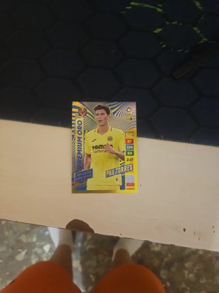 Pau Torres Premium Oro Edición Limitada